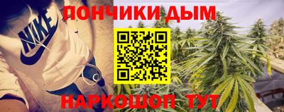 крисы Донской