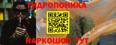 крисы Донской