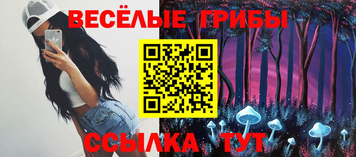 Галлюциногенные грибы ЛСД  Вход с VPN  Мичуринск 