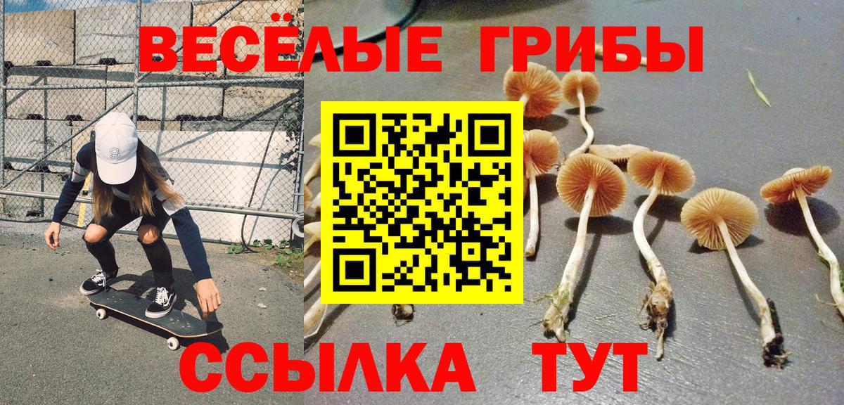 Галлюциногенные грибы Magic Shrooms Мичуринск